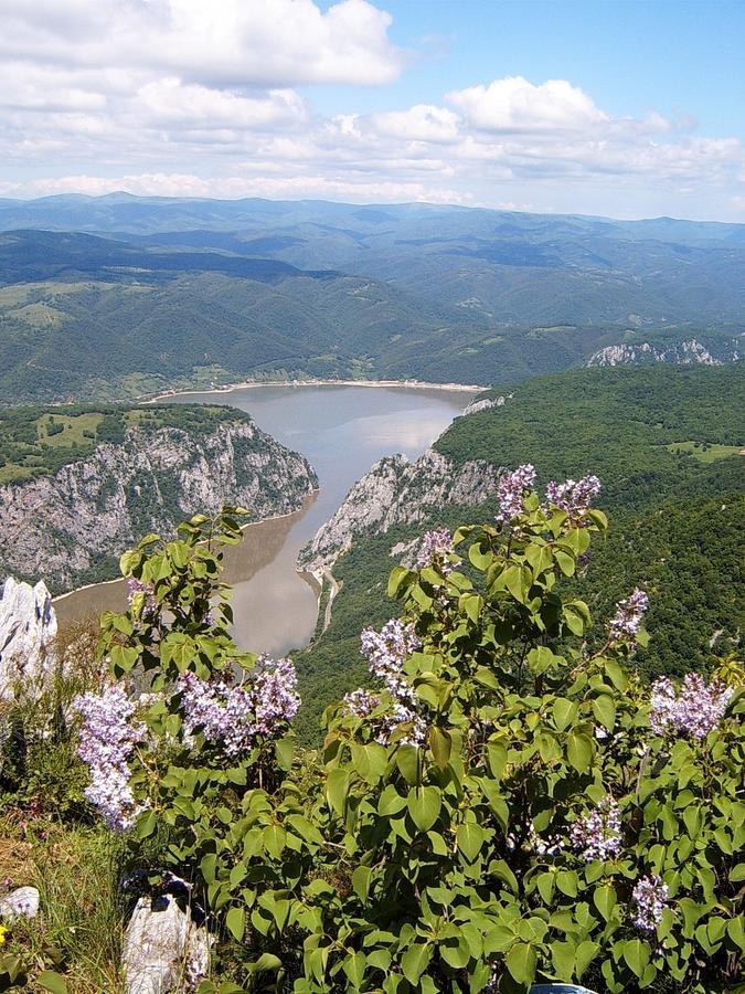 Atrijum Apartments And Rooms Кладово Екстериор снимка